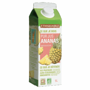 PUR JUS   D'ANANAS  BIO  1L
