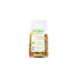 MVS PENNE DES ANDES 3 COULEURS 250G