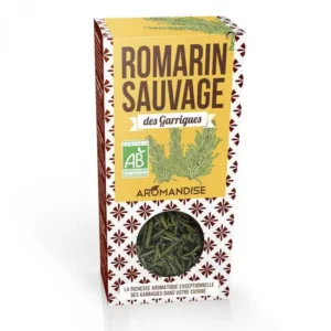 Romarin des garrigues